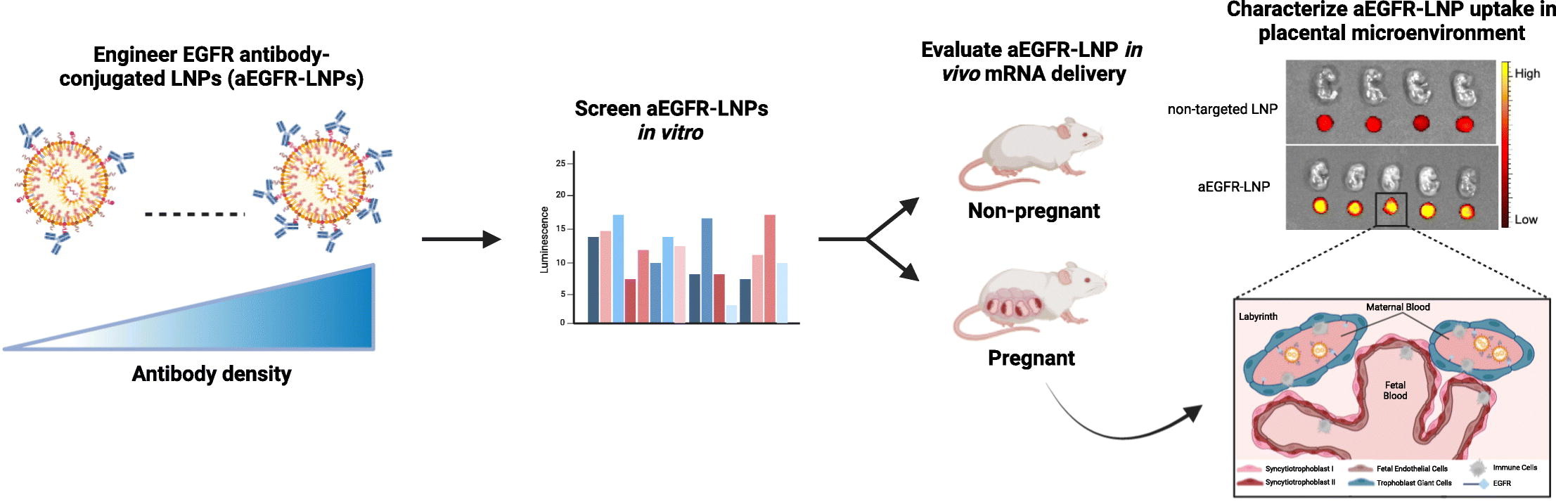 geisler2024egfr.jpg