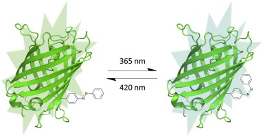 padilla2015azobenzene.jpg