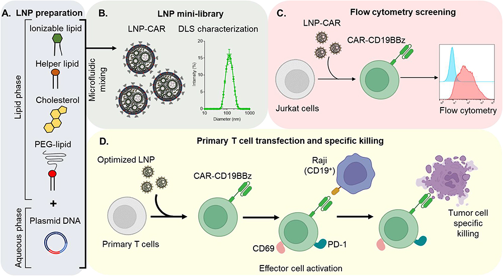 prazeres2023plasmid.jpg